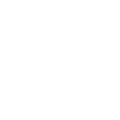 WhiskyBrains Logo